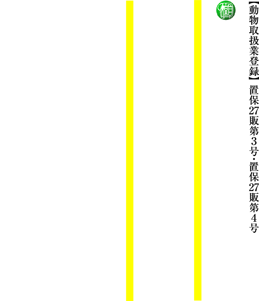 日本犬保存会山形支部　柴犬専門犬舎　絢香誠和　山形誠和荘