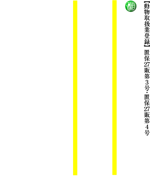 日本犬保存会山形支部　柴犬専門犬舎　絢香誠和　山形誠和荘