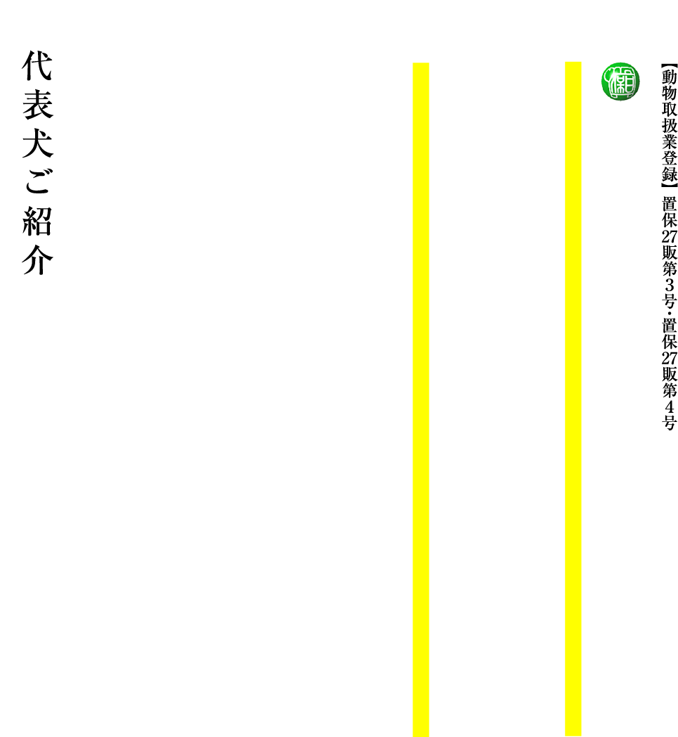 日本犬保存会山形支部　柴犬専門犬舎　絢香誠和　山形誠和荘の代表犬紹介