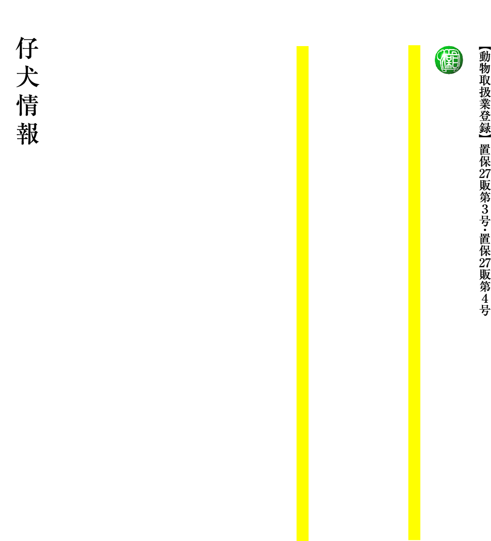 日本犬保存会山形支部　柴犬専門犬舎　絢香誠和　山形誠和荘の仔犬情報